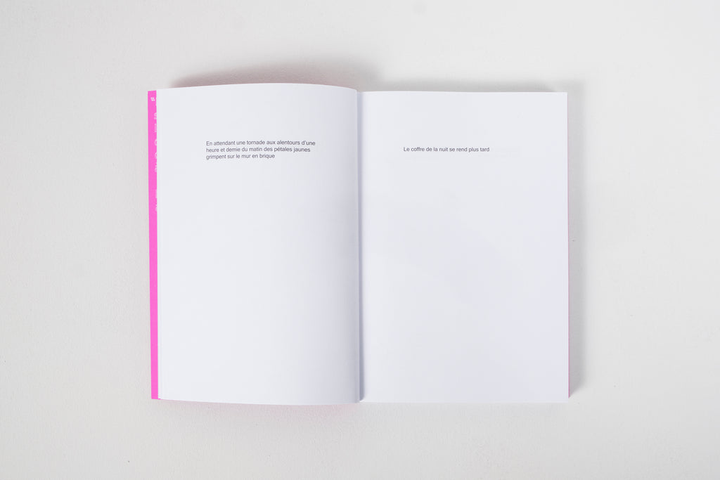 Haydée Touitou - Still Life Poems