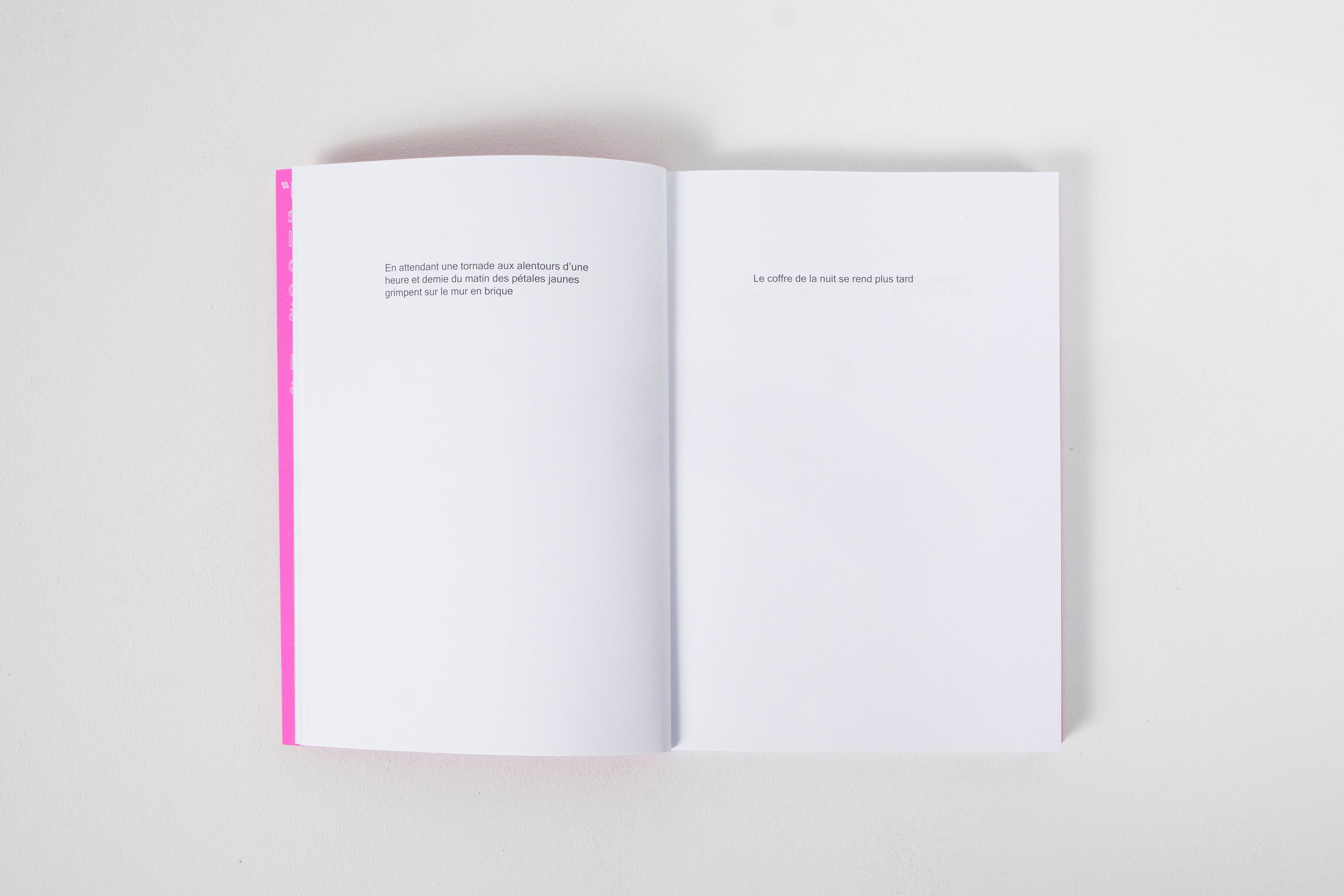 Haydée Touitou - Still Life Poems