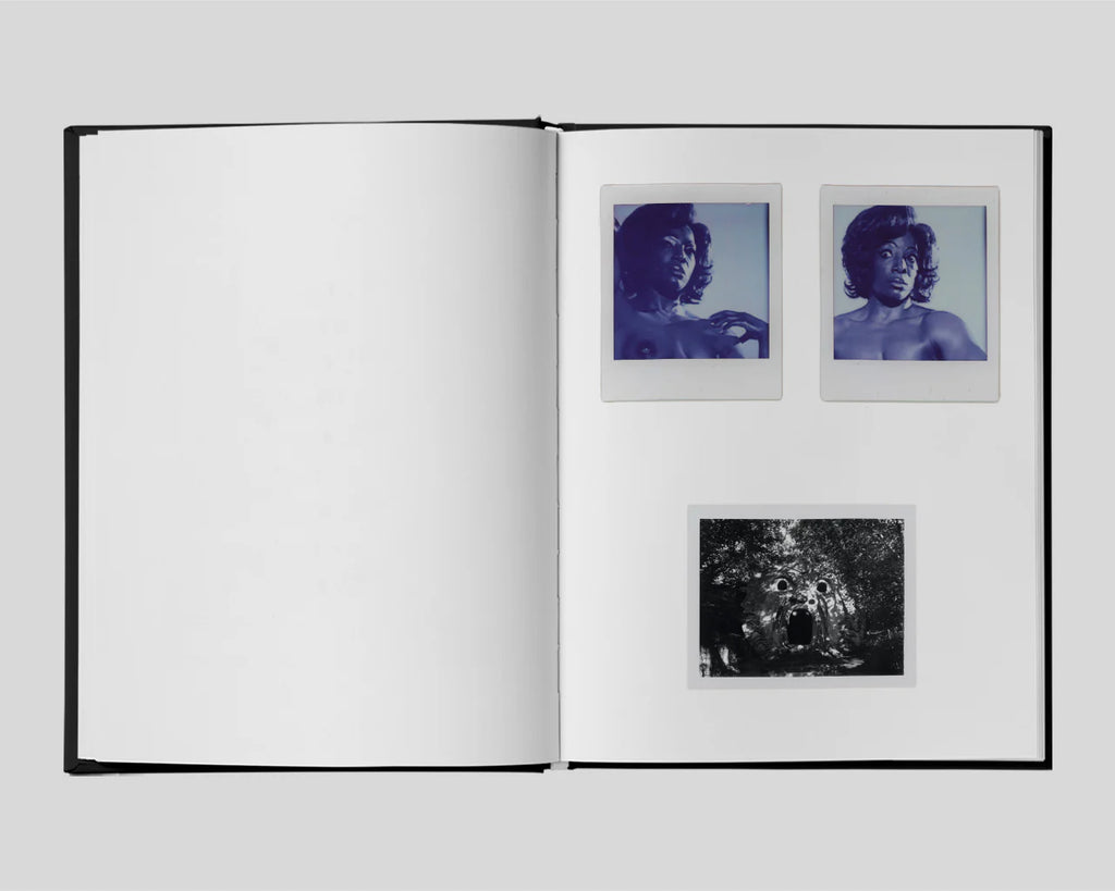 Camille Vivier - Polaroids