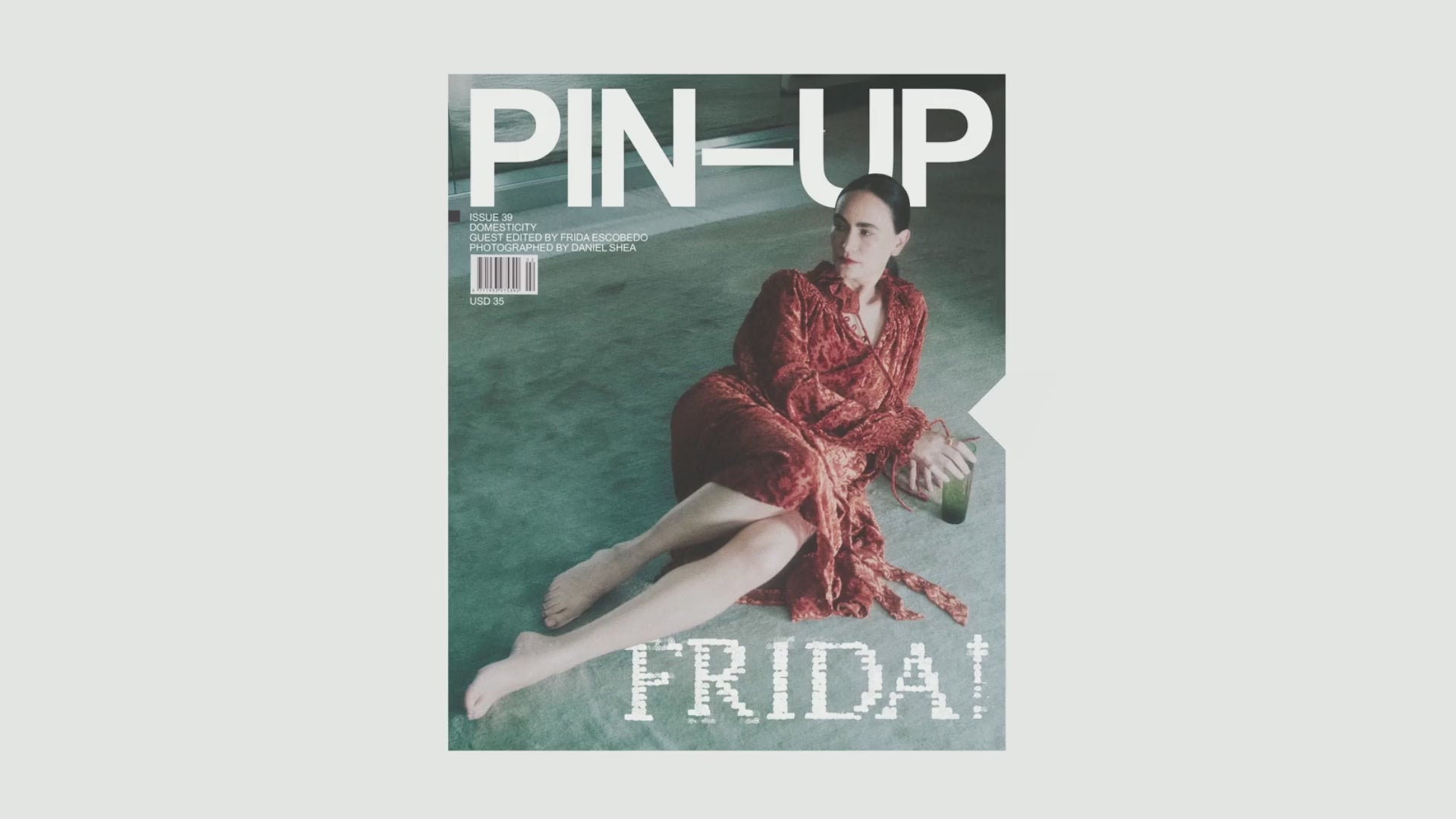 PIN–UP - N°39 "DOMESTICITY"