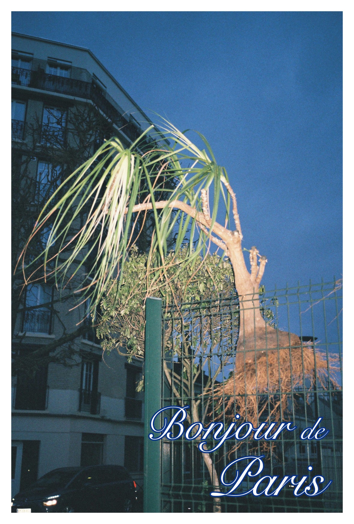 Sinae Lee - Paris (Postcards)