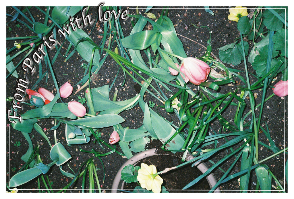 Sinae Lee - Paris (Postcards)