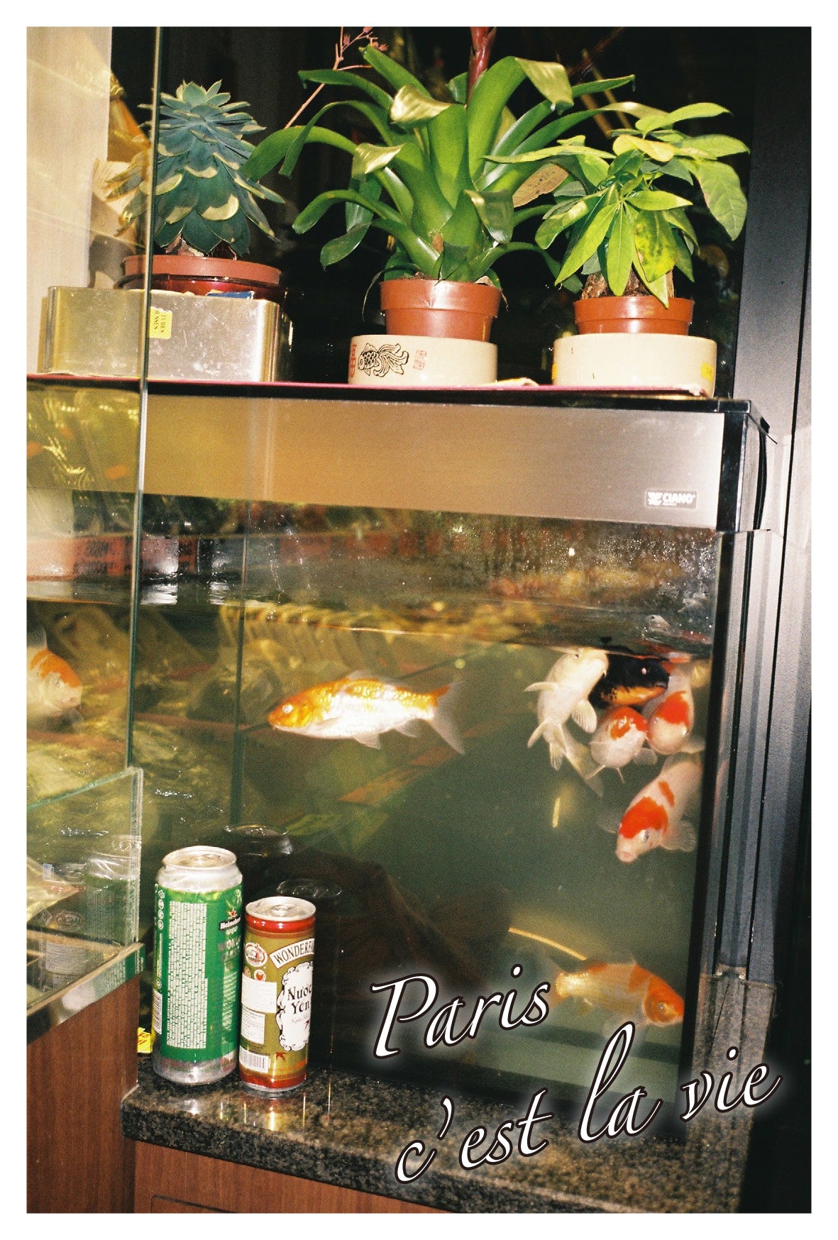 Sinae Lee - Paris (Postcards)