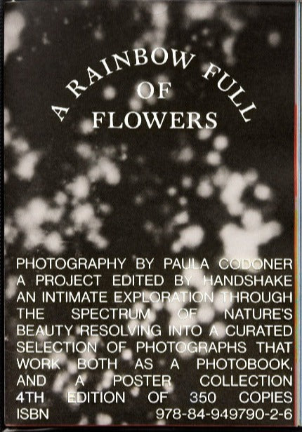 Paula Codoner - A Rainbow Full of Flowers