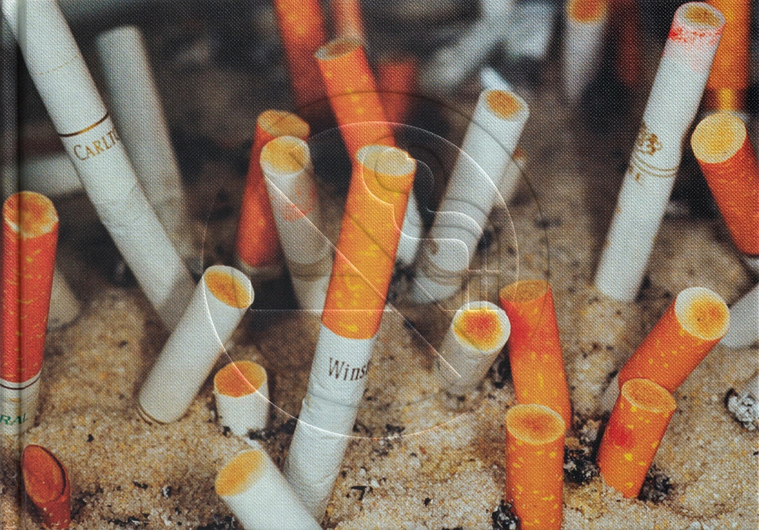 Martin Parr - No Smoking