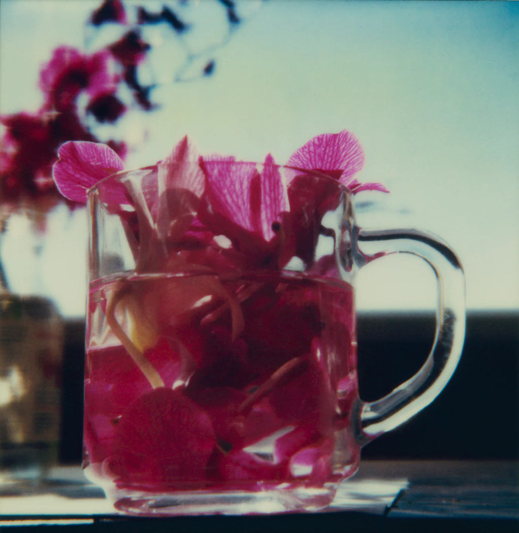 Robby Müller - L.A. Polaroids