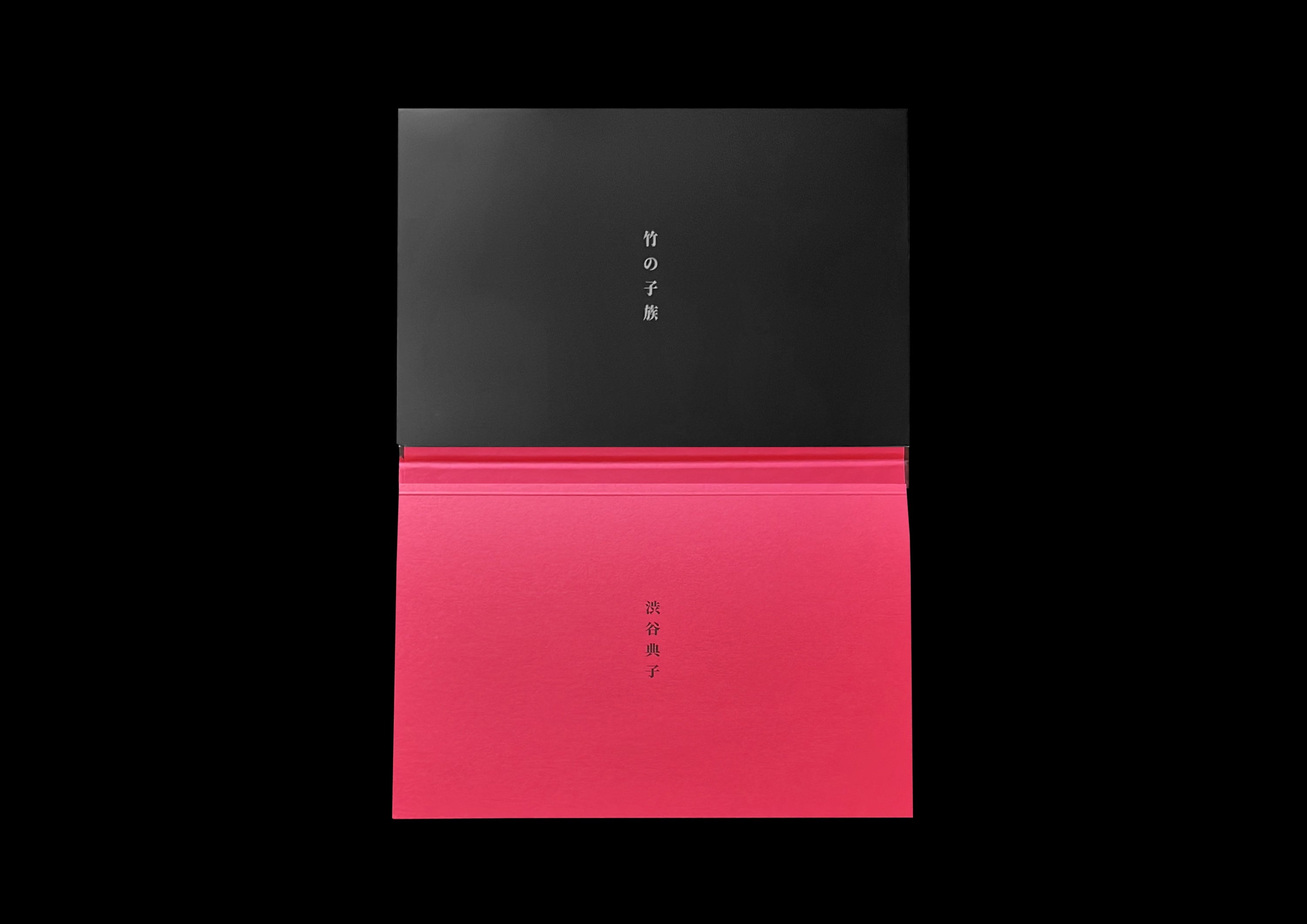 Noriko Shibuya - Takenokozoku