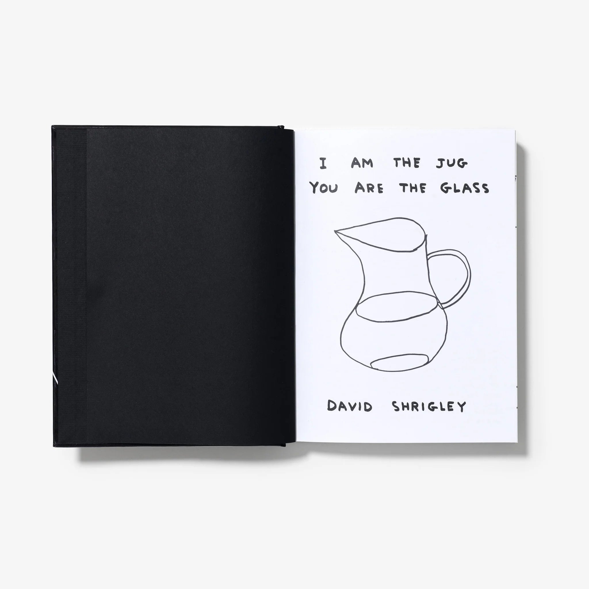 David Shrigley - I am the jug you are the glass