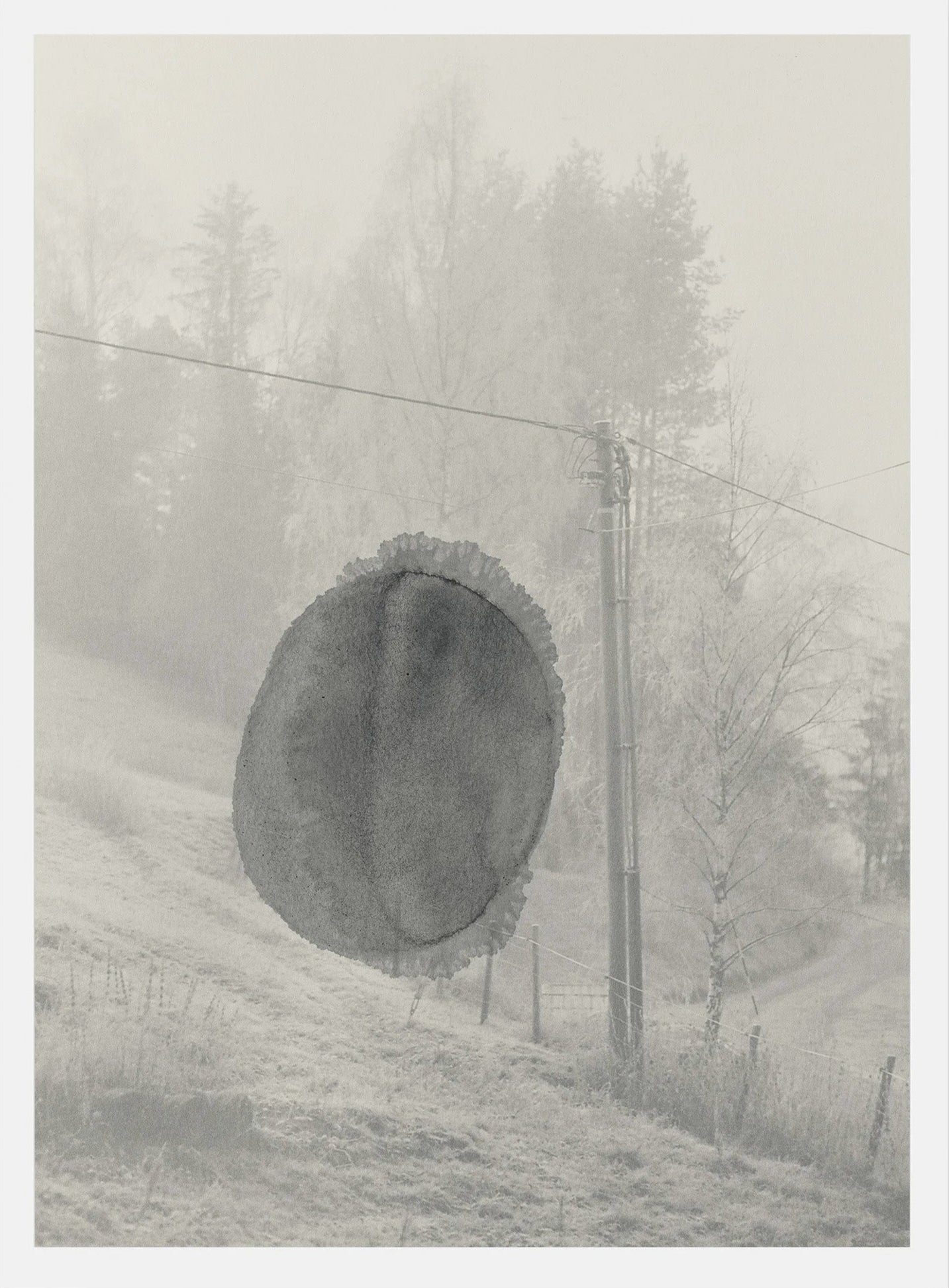 Ola Rindal - Stains & Ashes