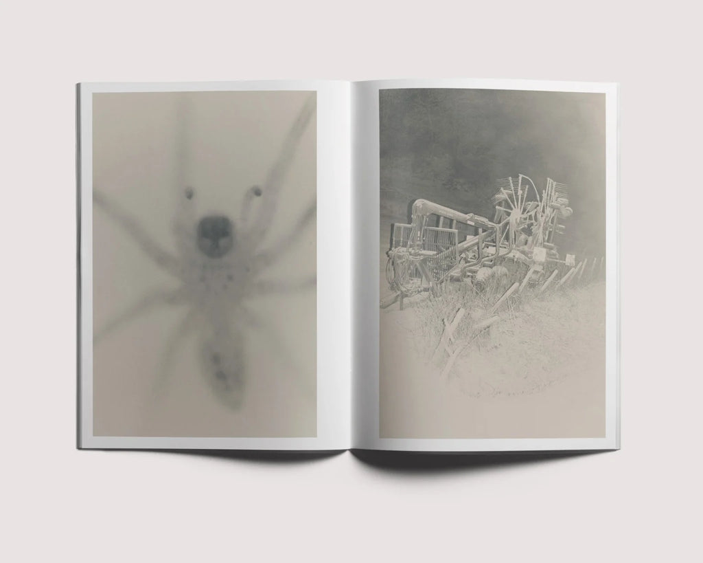 Ola Rindal - Stains & Ashes