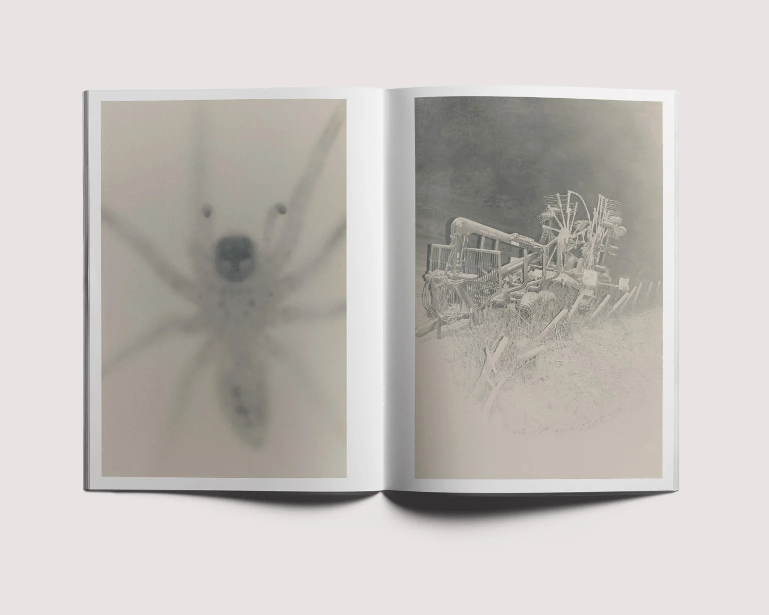 Ola Rindal - Stains & Ashes