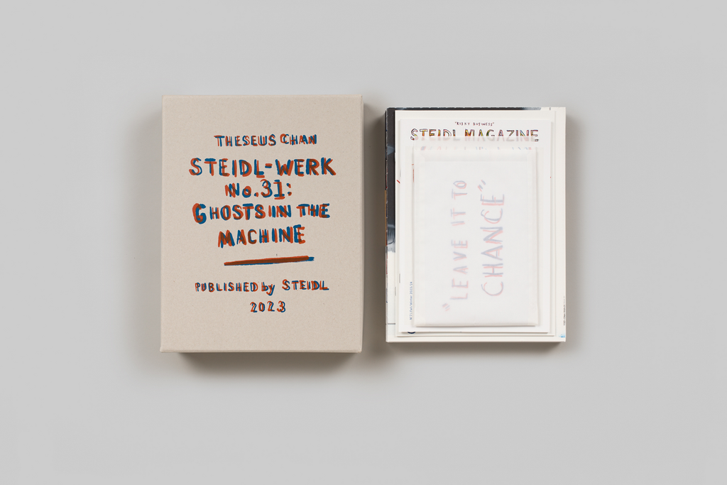 STEIDL–WERK No.31: Ghosts in the machine