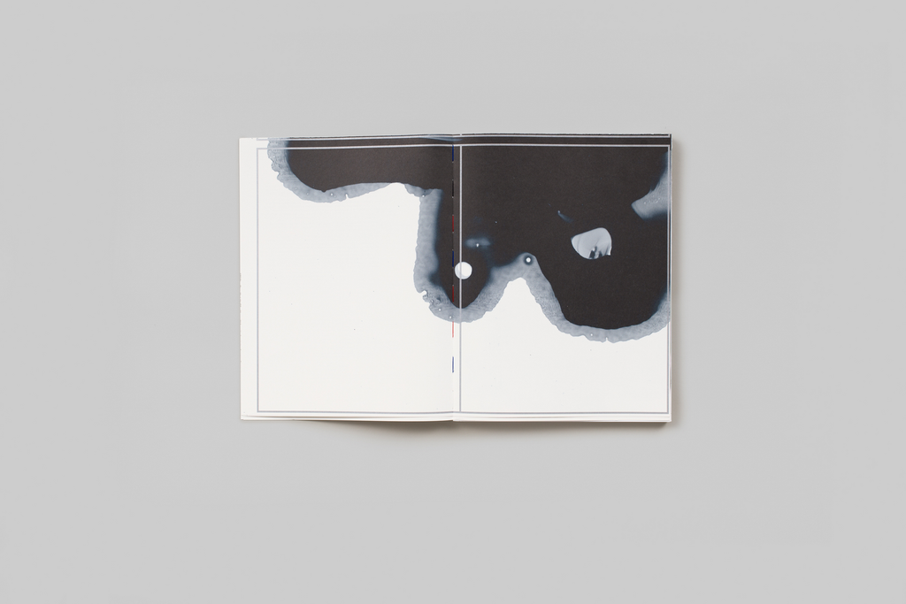 STEIDL–WERK No.31: Ghosts in the machine