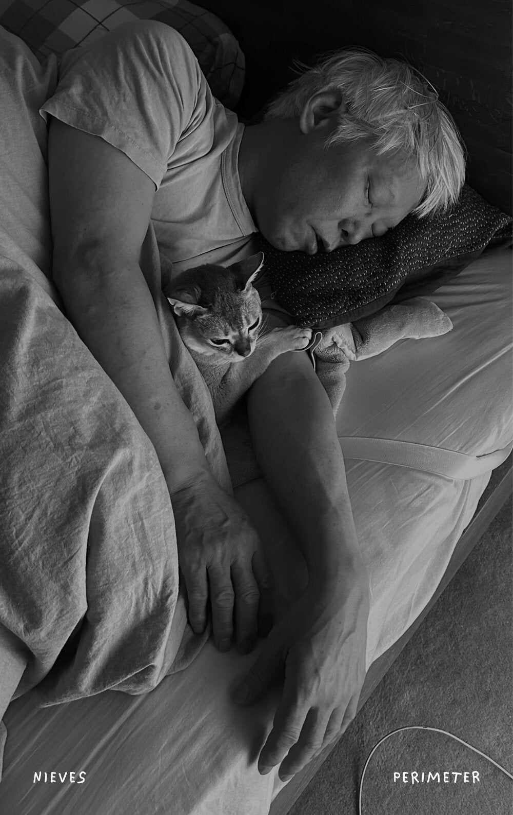 Takashi Homma - This Is Not My Cat