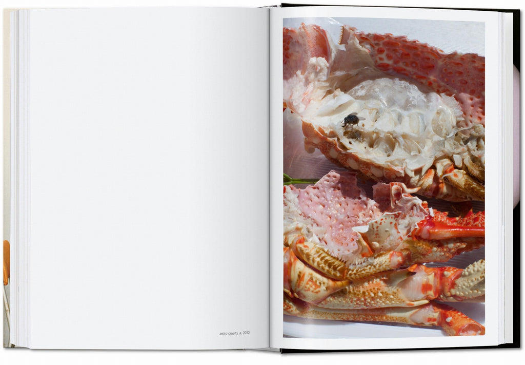 Wolfgang Tillmans - four books