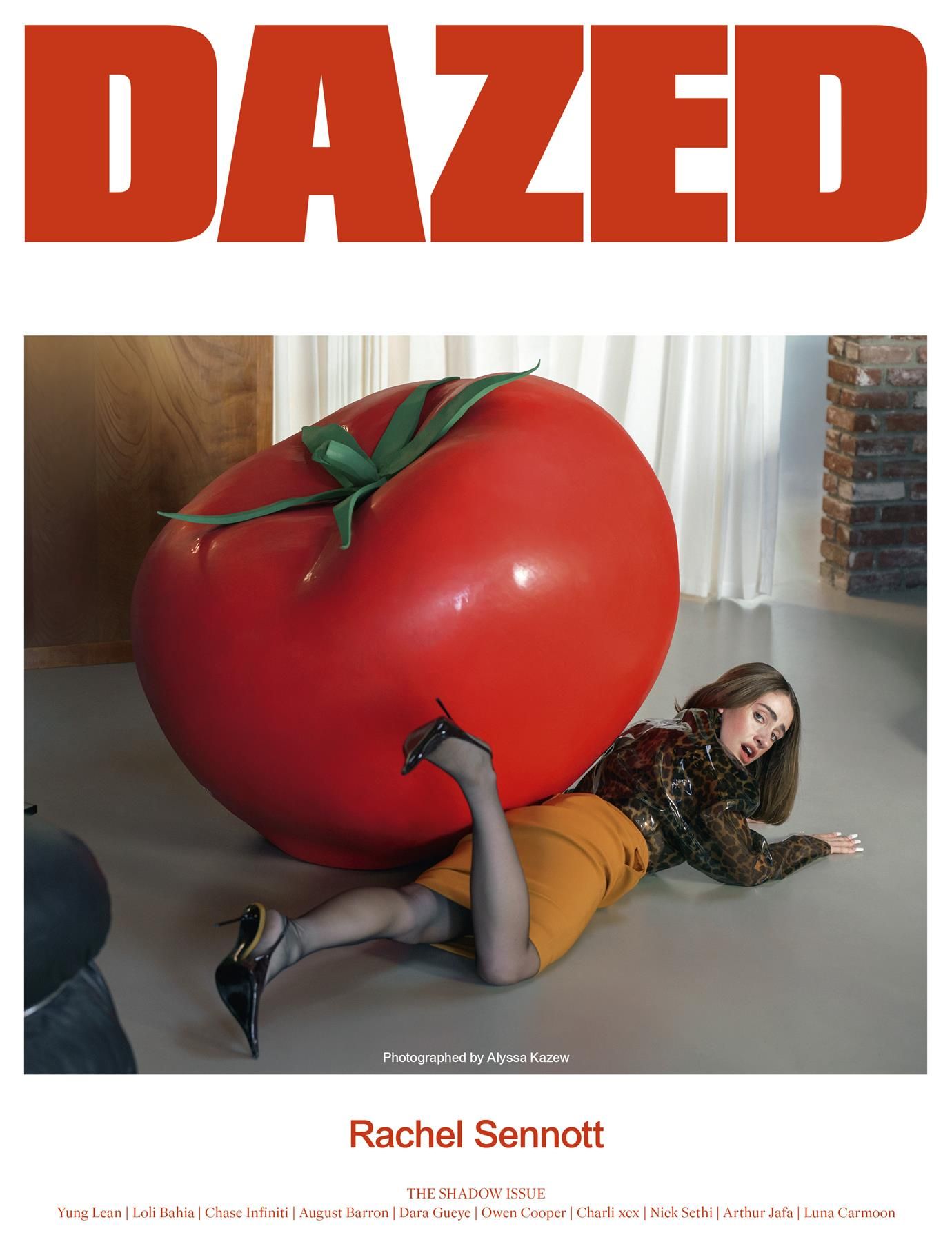 Dazed - Vol.V Winter, Issue 290 "The Shadow Issue"