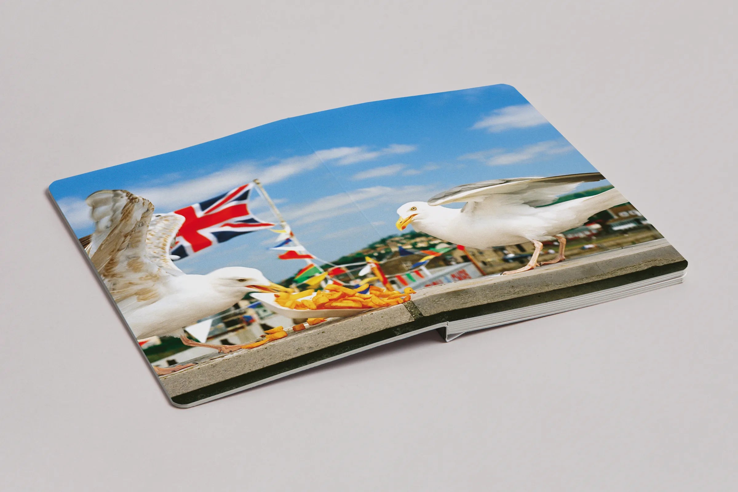 Martin Parr - Animals