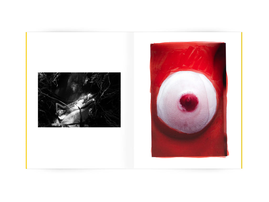 Viviane Sassen - Self Portraits 1989-1999