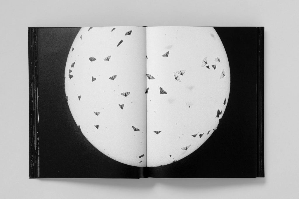 Trent Parke - Monument