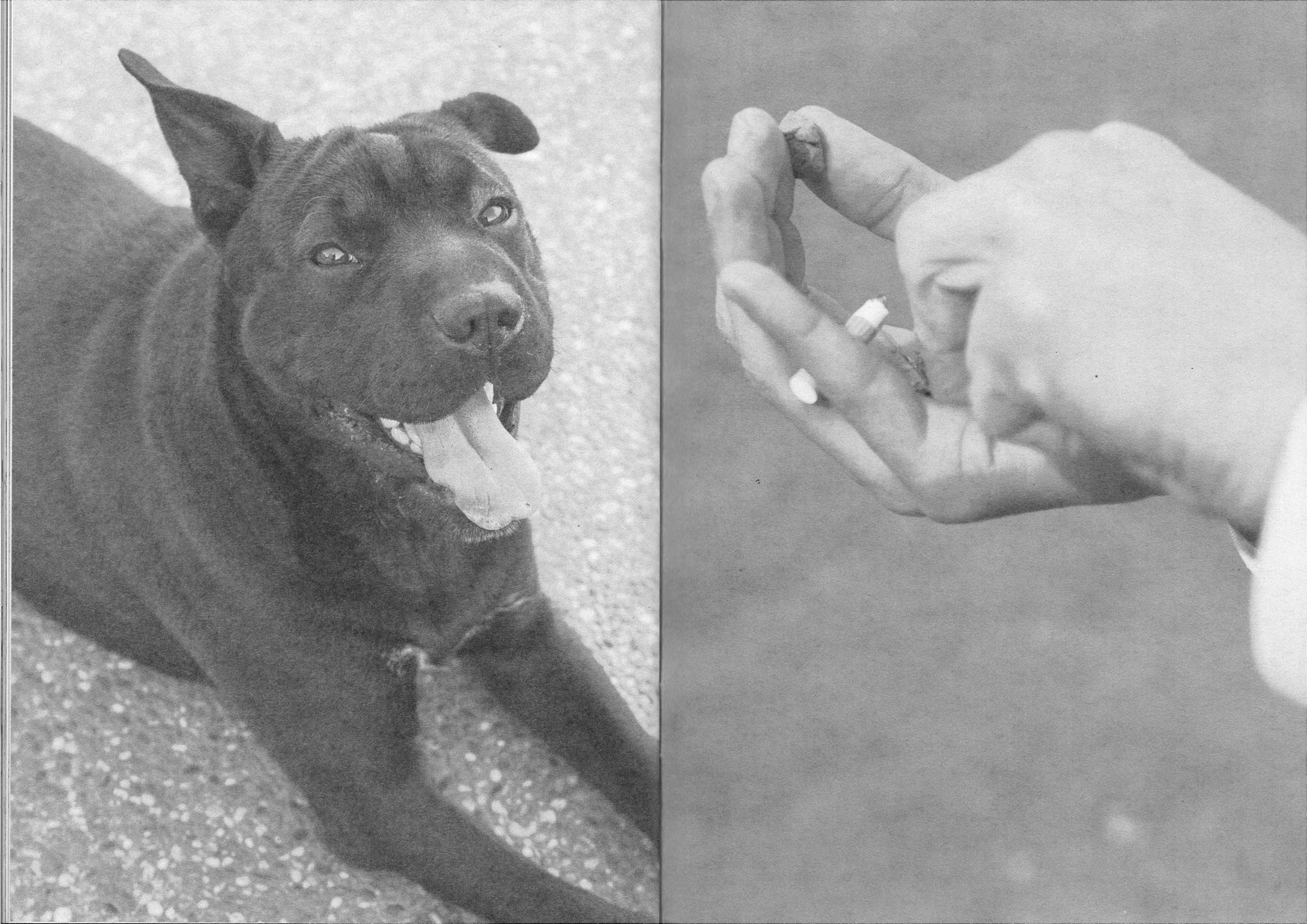 Fond Perdu - Vol. II - Ilyes Griyeb