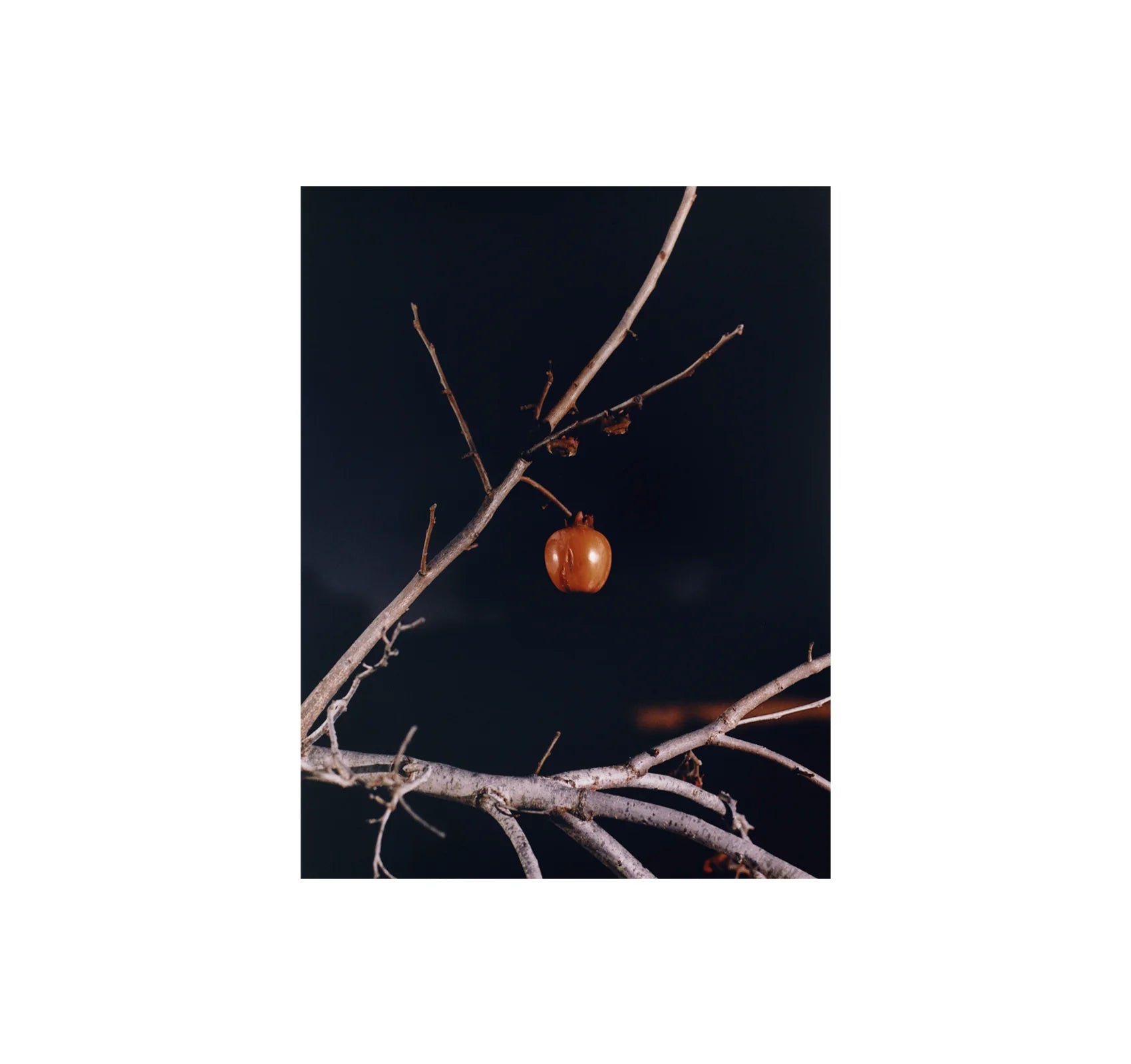 Coco Capitán - Naïvy (Exhibition Catalogue)