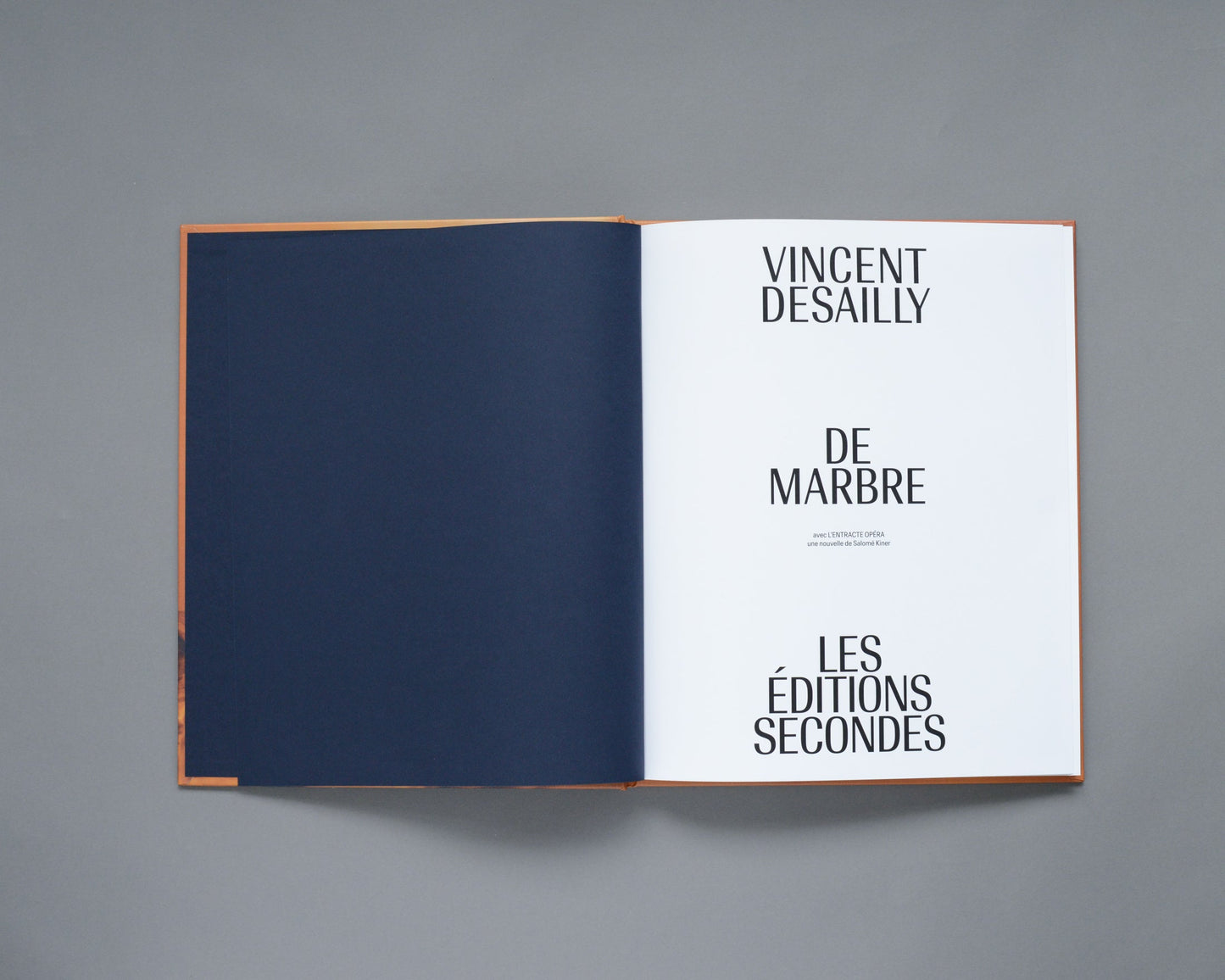Vincent Desailly - De Marbre