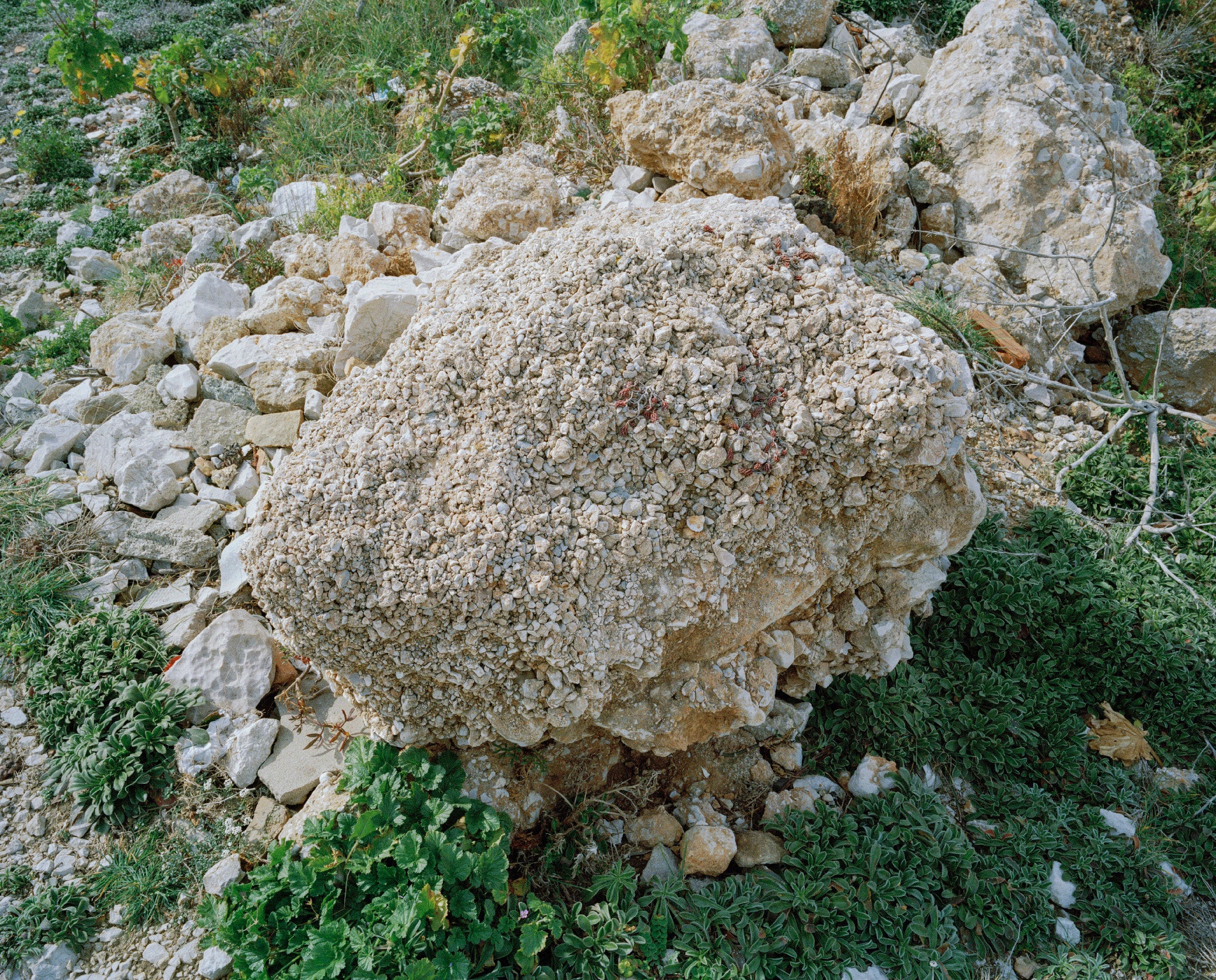 Woosung Sohn - Sans Titre