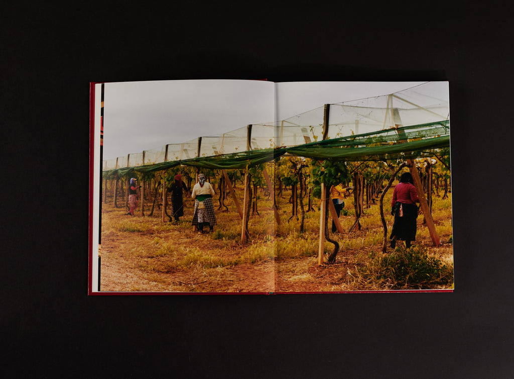 Ilyes Griyeb - Morocco