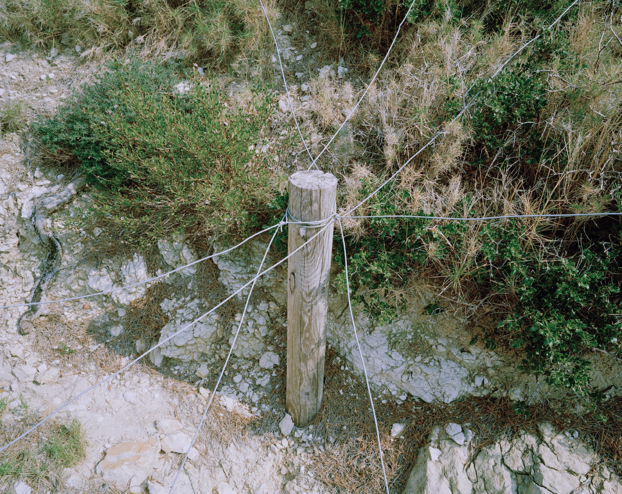 Woosung Sohn - Sans Titre