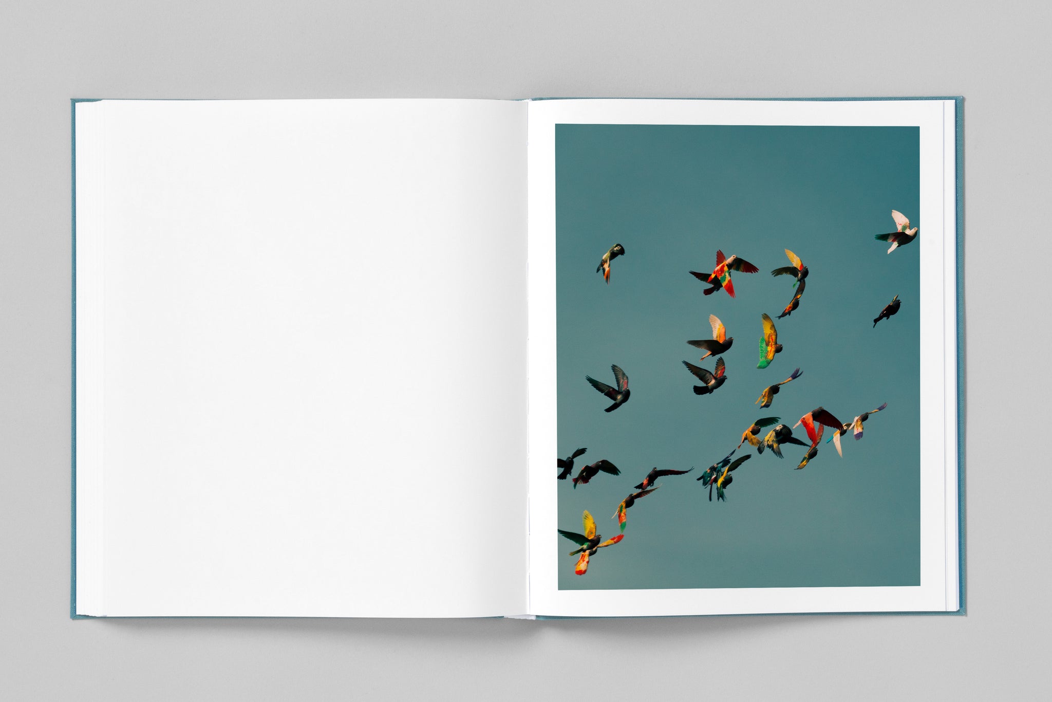 Christopher Anderson - Marion