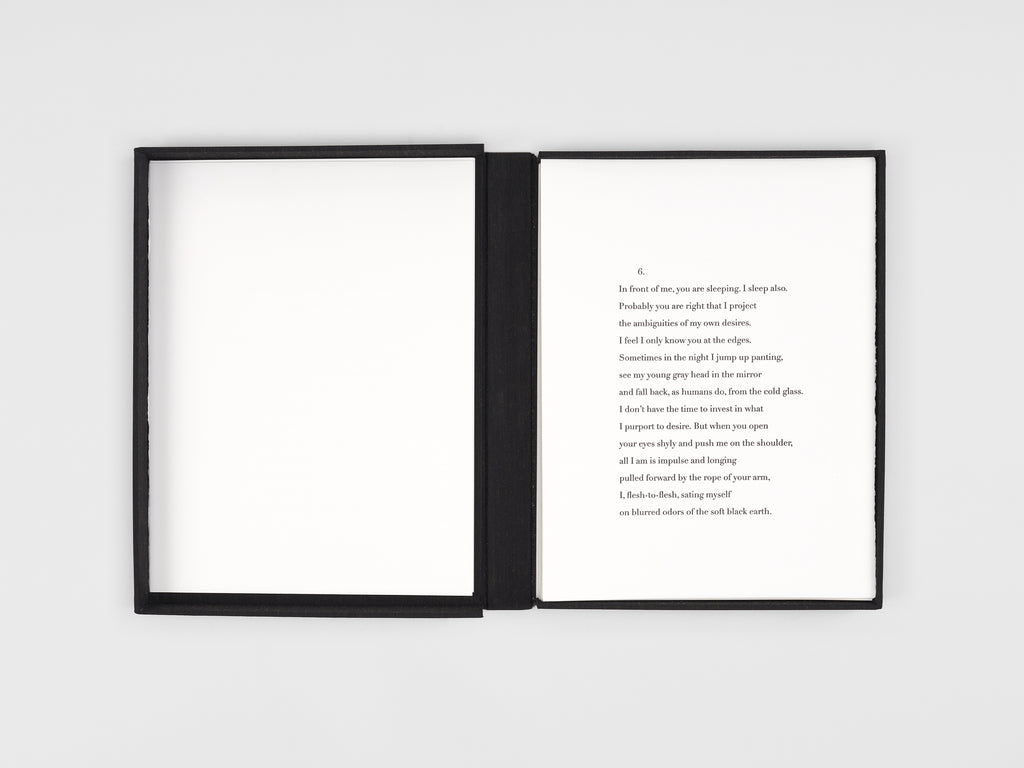 Jenny Holzer & Henri Cole - BLUR