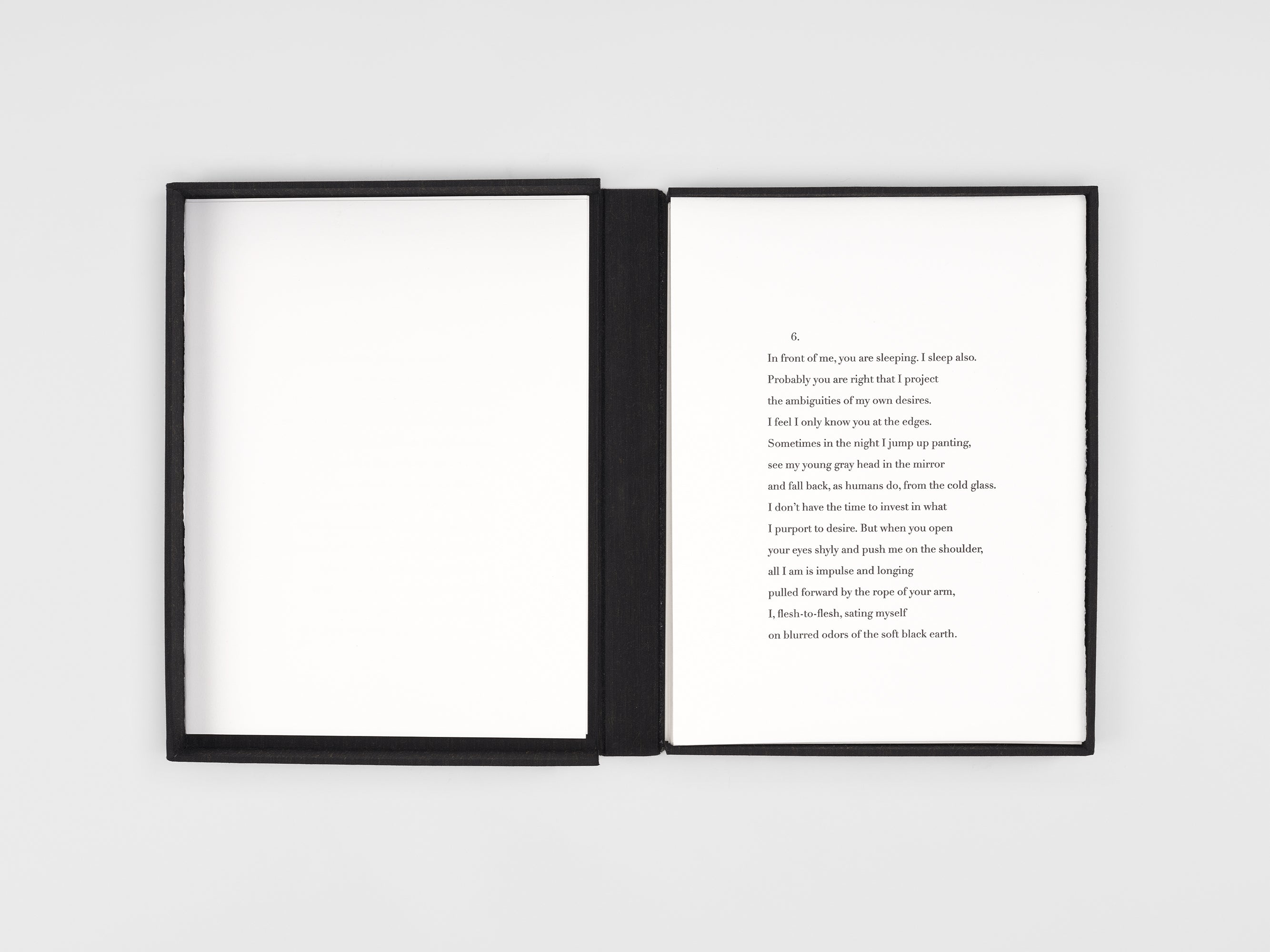 Jenny Holzer & Henri Cole - BLUR