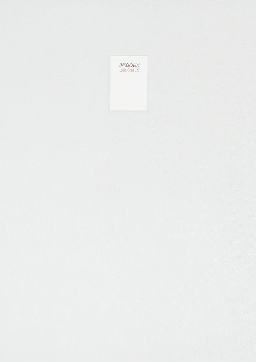 Loris Gréaud - /MIˈÆNDƏ(ɹ)/ Meander