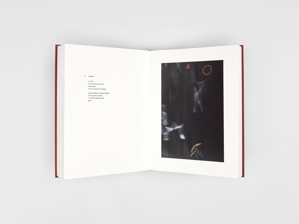 Rebecca Horn & Jacques Roubaud - 53 poèmes pour Rebecca Horn