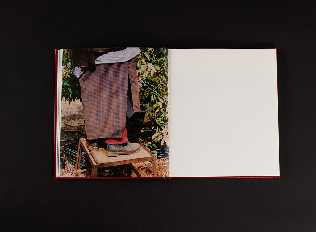 Ilyes Griyeb - Morocco