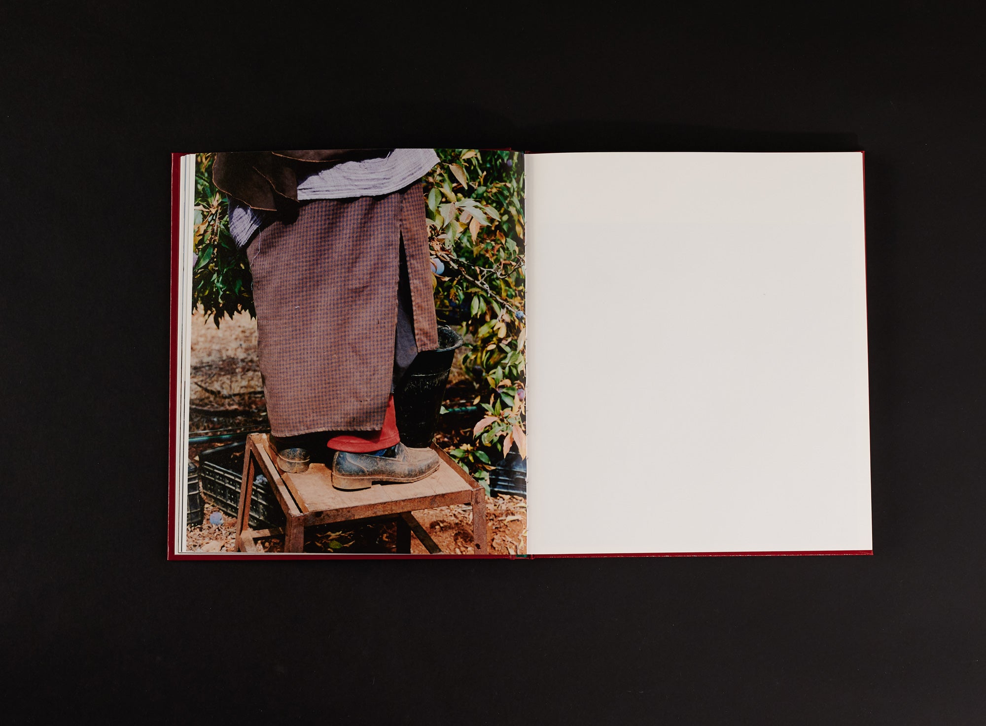 Ilyes Griyeb - Morocco