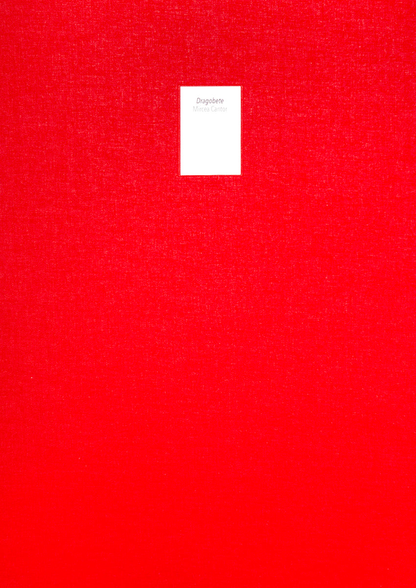 Mircea Cantor - Dragobete