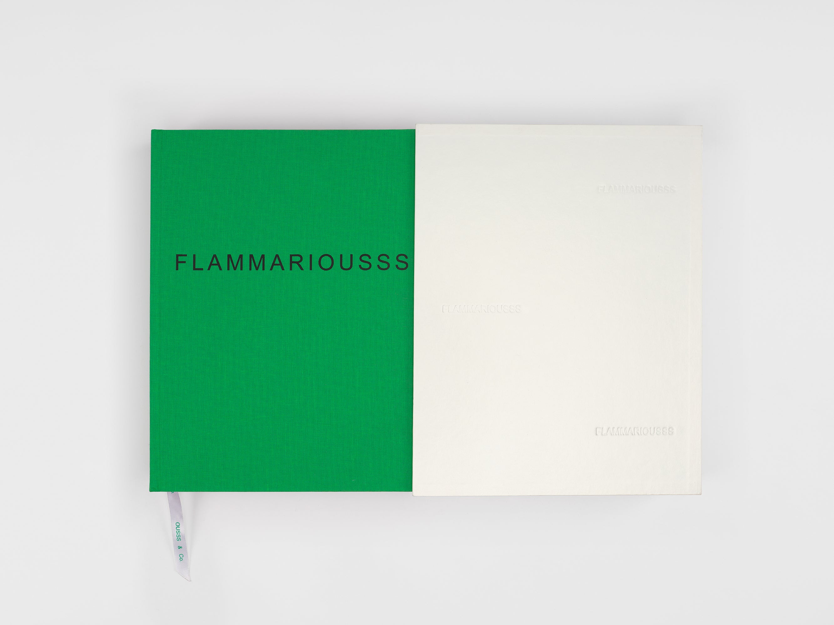 Koo Jeong-a & Édouard Glissant - Flammariousss