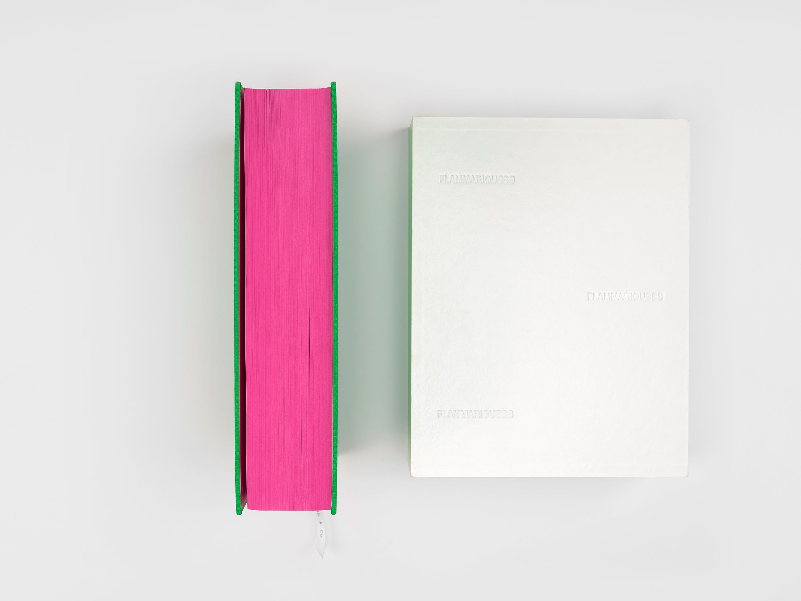 Koo Jeong-a & Édouard Glissant - Flammariousss