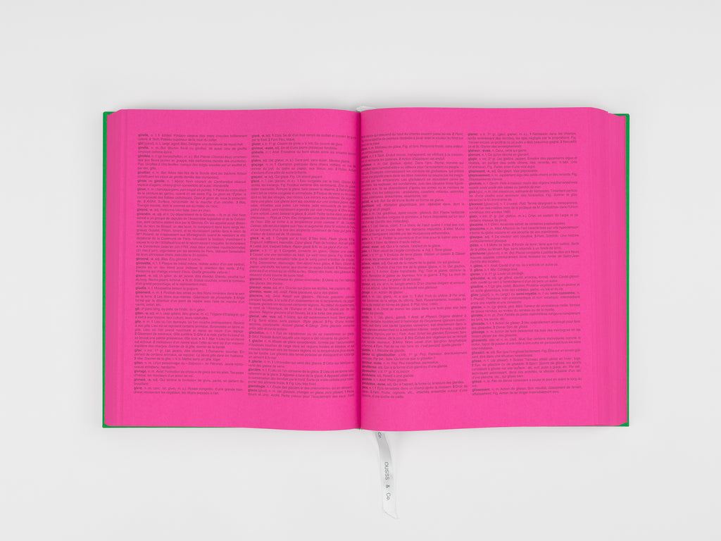 Koo Jeong-a & Édouard Glissant - Flammariousss