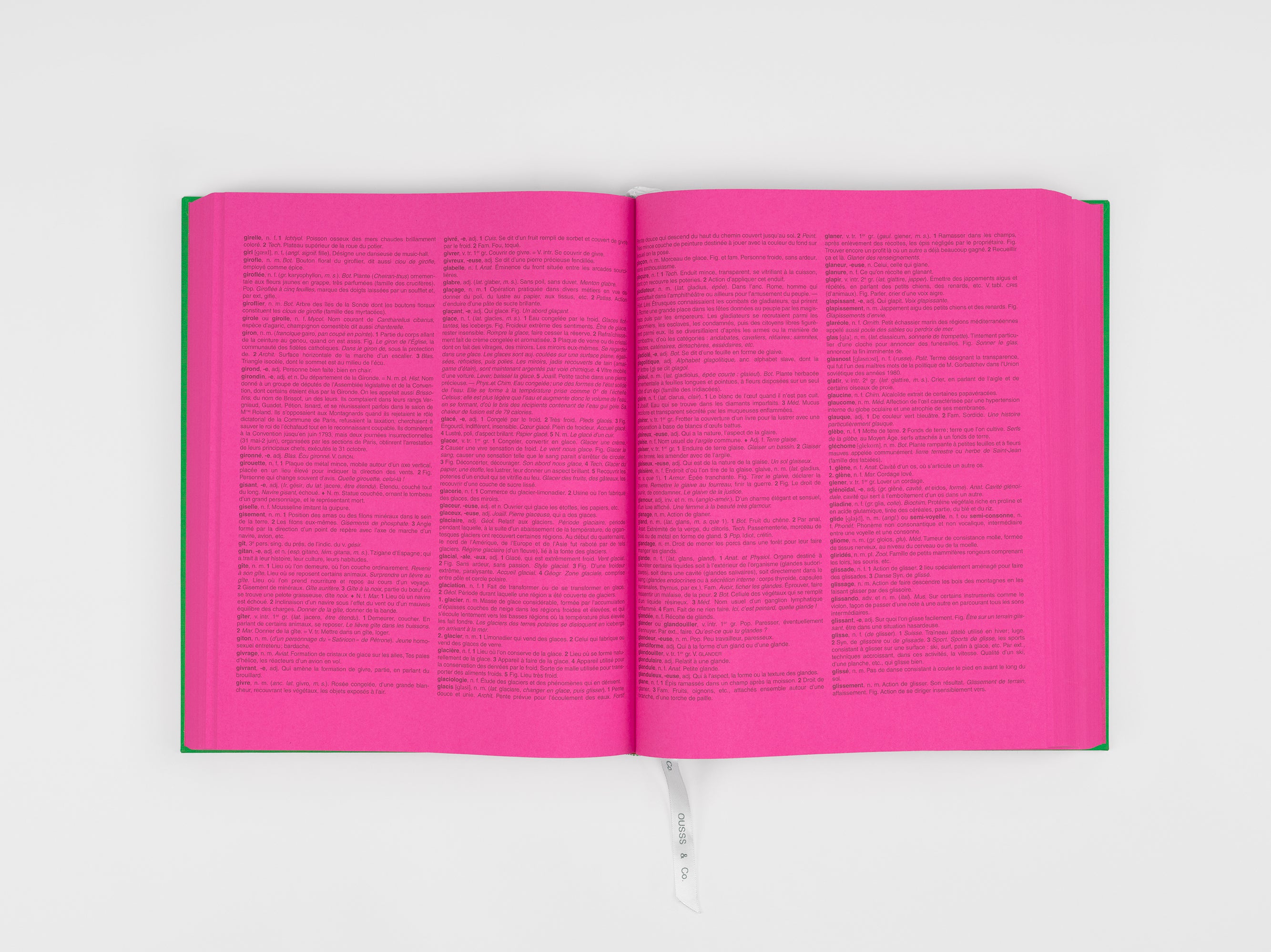 Koo Jeong-a & Édouard Glissant - Flammariousss