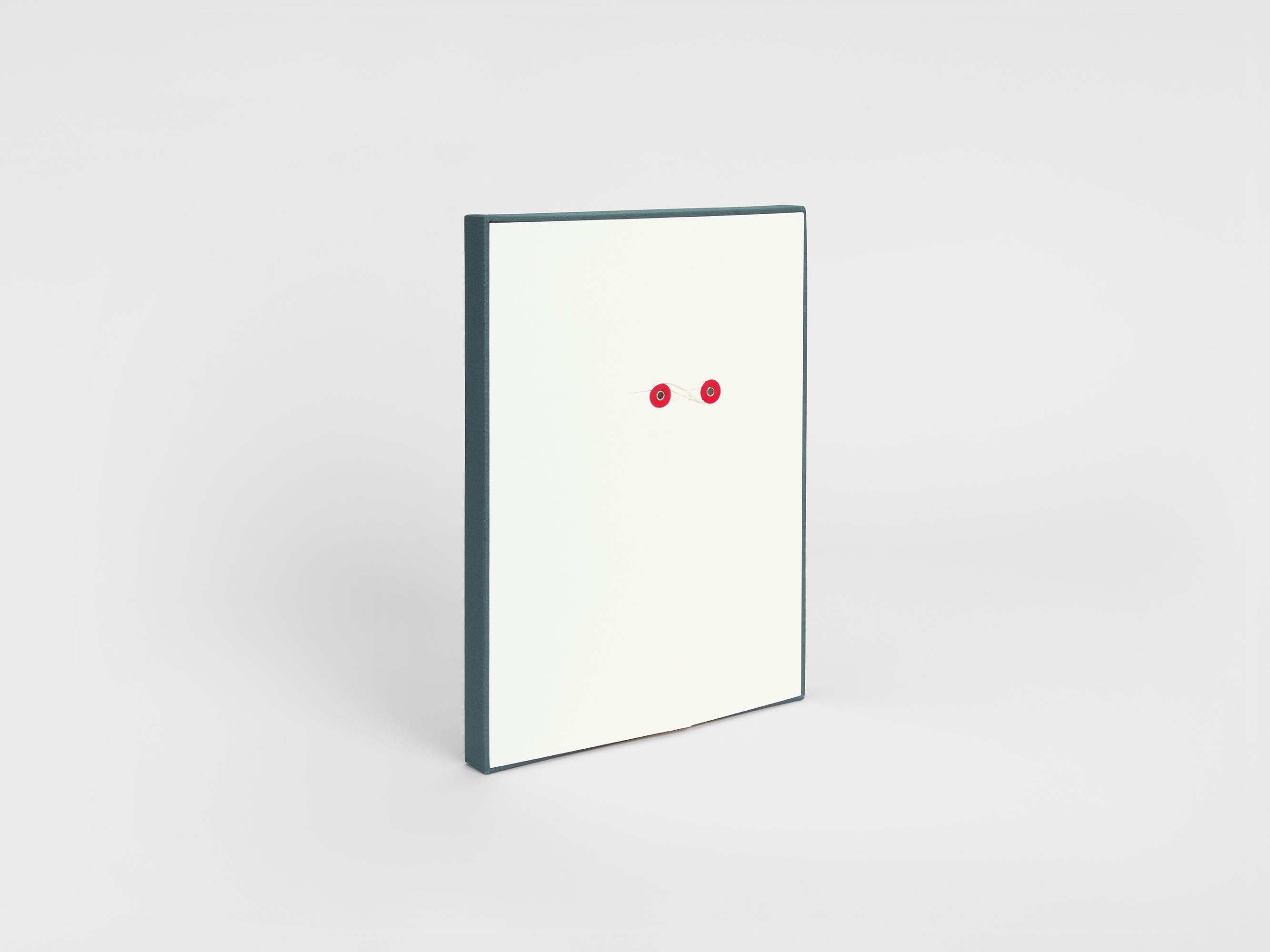 Jason Dodge - The see-ers