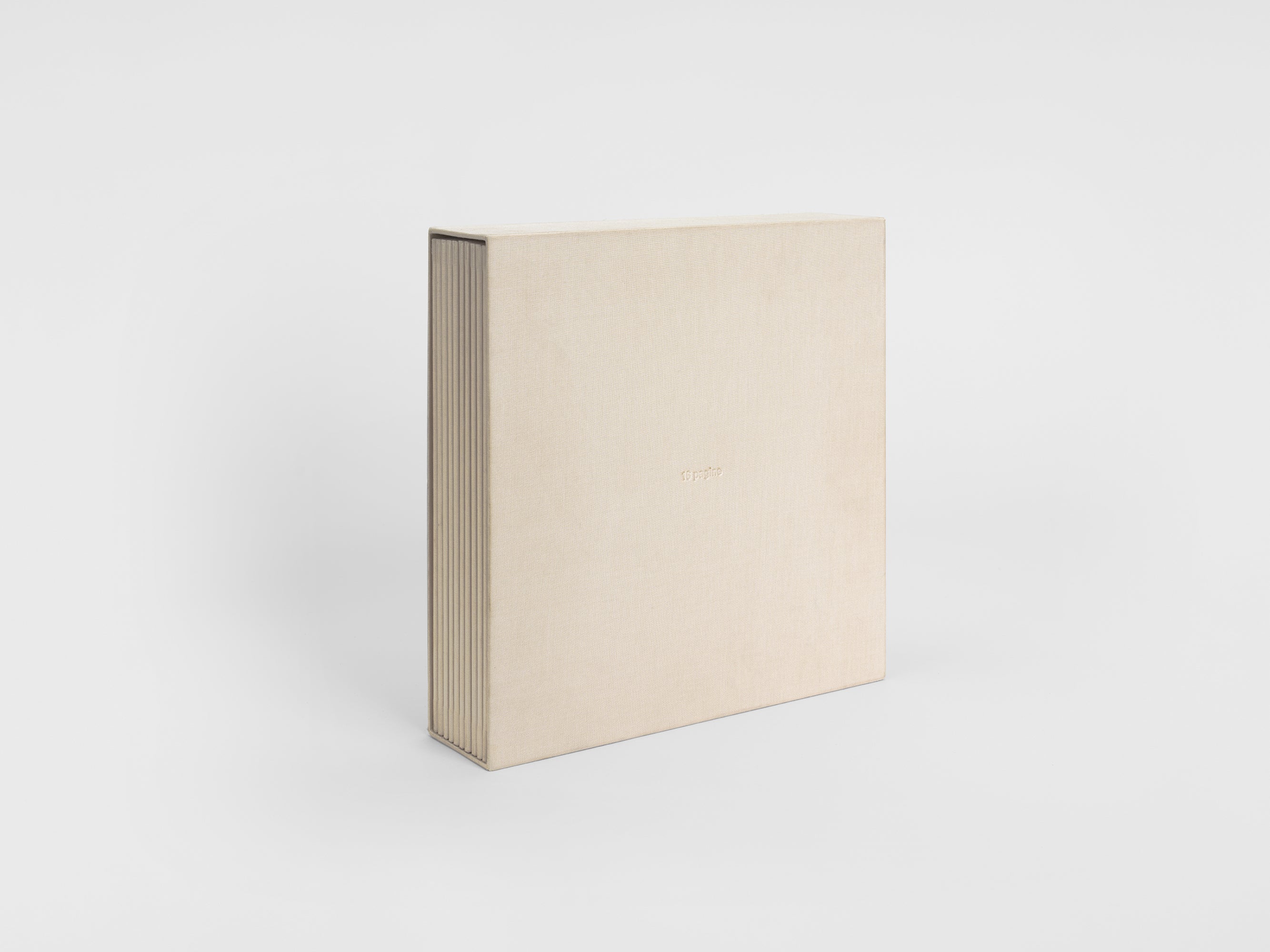 Giuseppe Penone - 16 Pagine