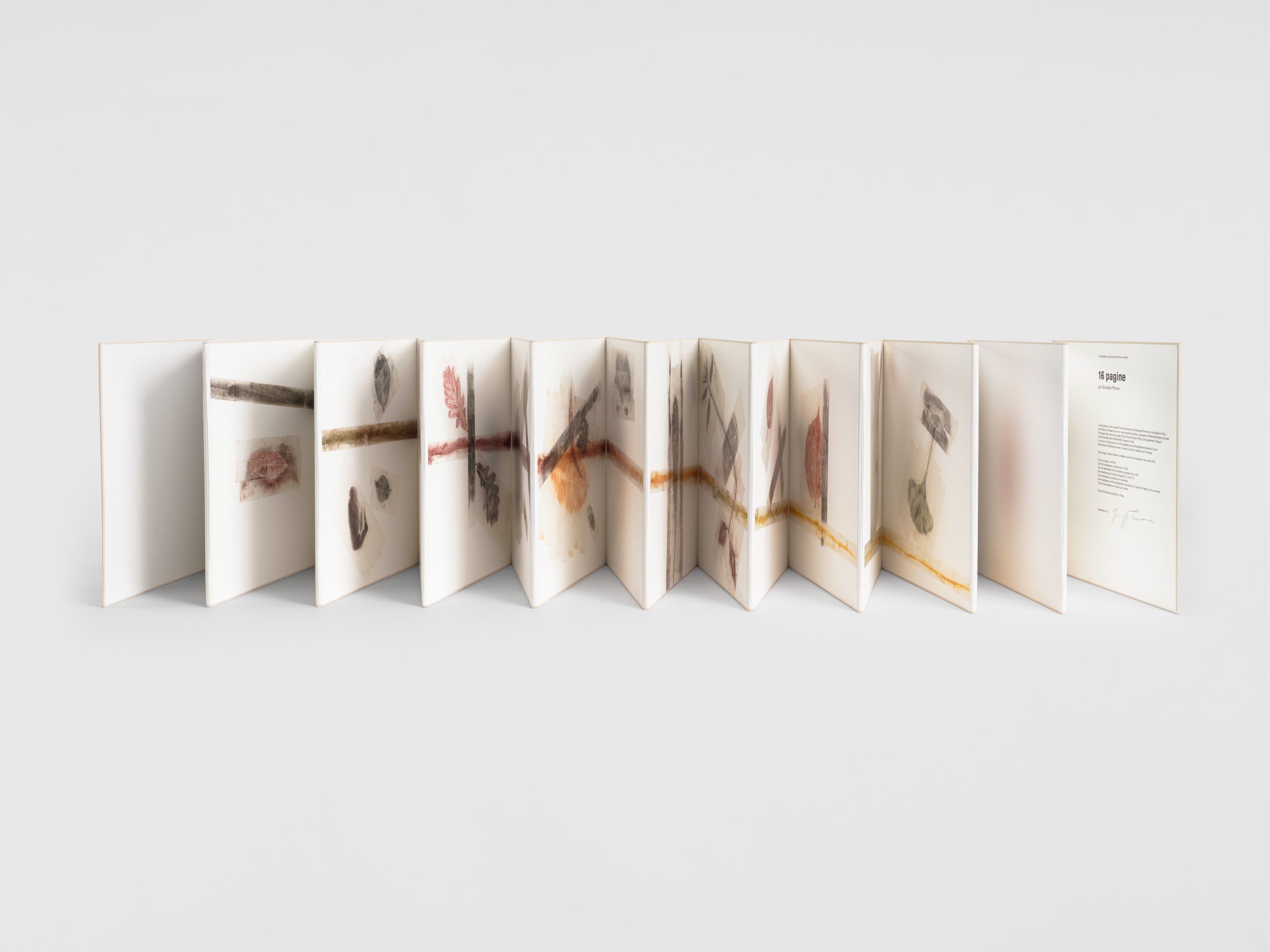 Giuseppe Penone - 16 Pagine