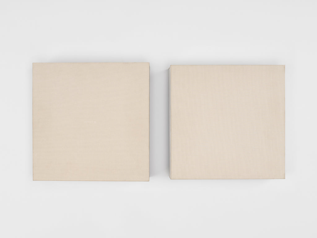 Giuseppe Penone - 16 Pagine