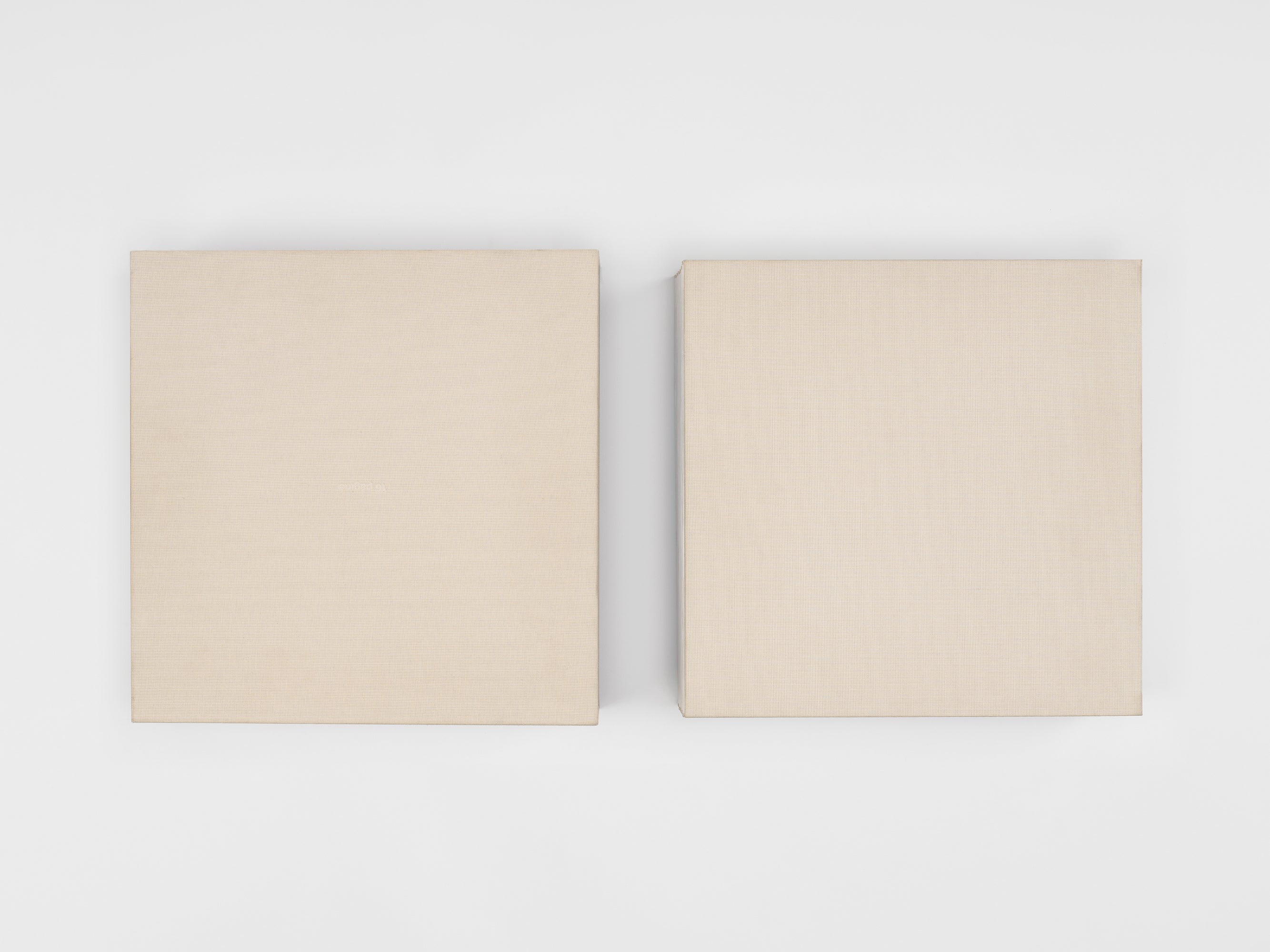 Giuseppe Penone - 16 Pagine