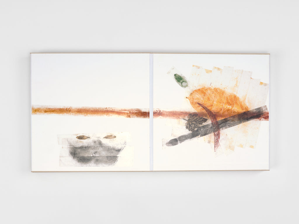 Giuseppe Penone - 16 Pagine