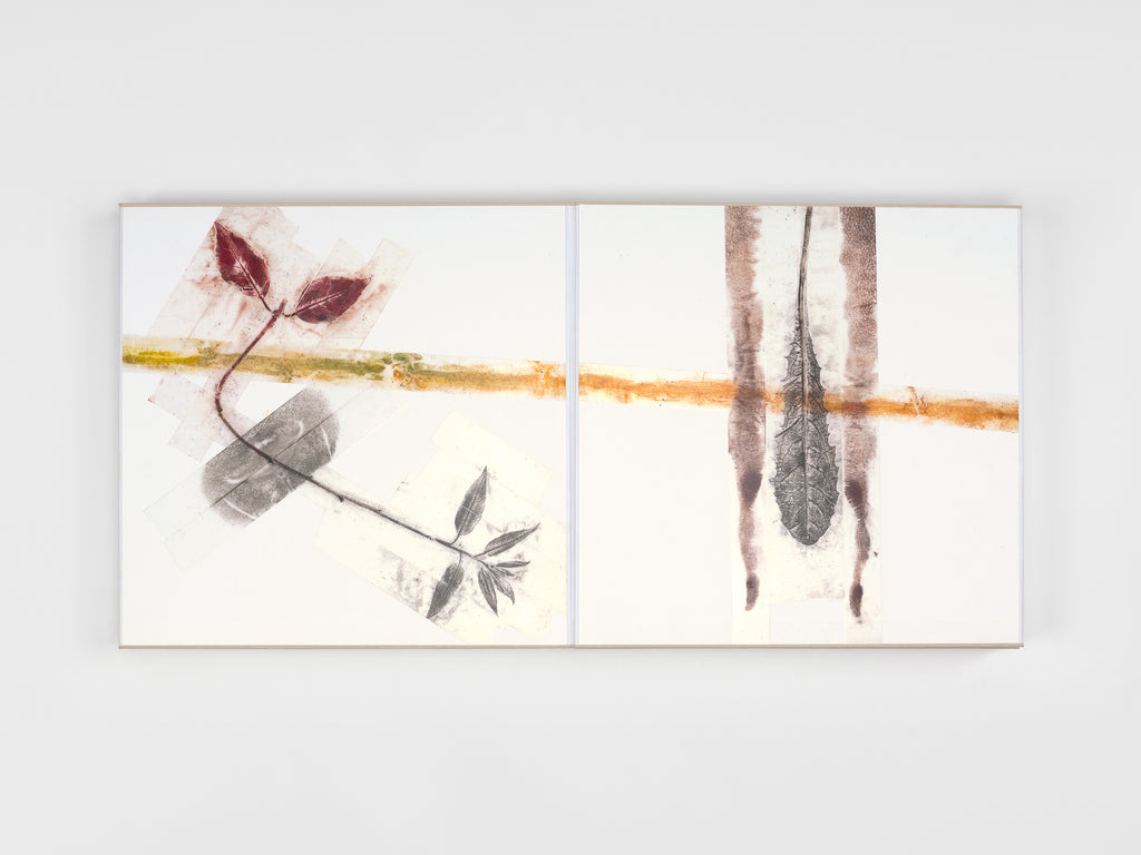 Giuseppe Penone - 16 Pagine