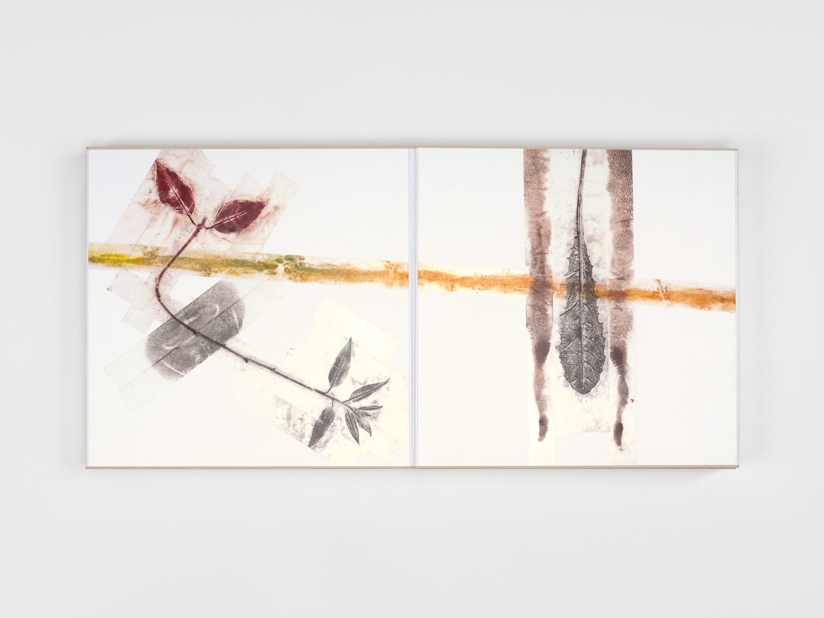 Giuseppe Penone - 16 Pagine