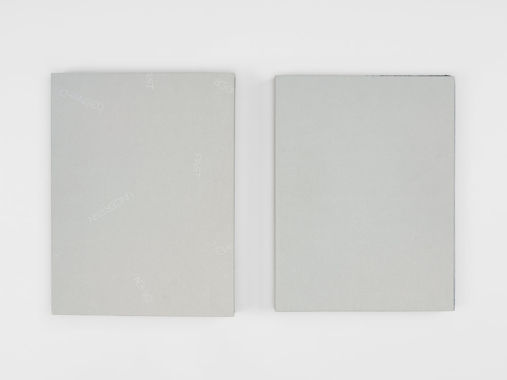 Robert Barry & Jean-Claude Lebensztejn - Musings from my Leisures